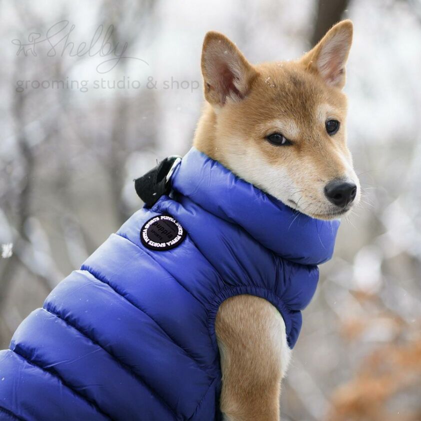 PUPPIA Жилет для собак утеплённый "Ultra Light Vest A", синий XL 40 см 58 см 27 см