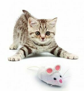 HEXBUG Игрушка для кошек интерактивная, микроробот &quot;Мышка Уайт&quot;, белая, 6.5х4х2.8см (США)