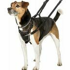 COA Шлейка для собак препятствующая натяжению "HALTI No Pull", черная, 22-36см (Великобритания)