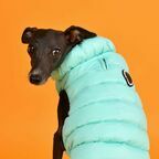PUPPIA Жилет для собак утеплённый "Ultra Light Vest B", бирюзовый, XL 36 см 56 см 38 см