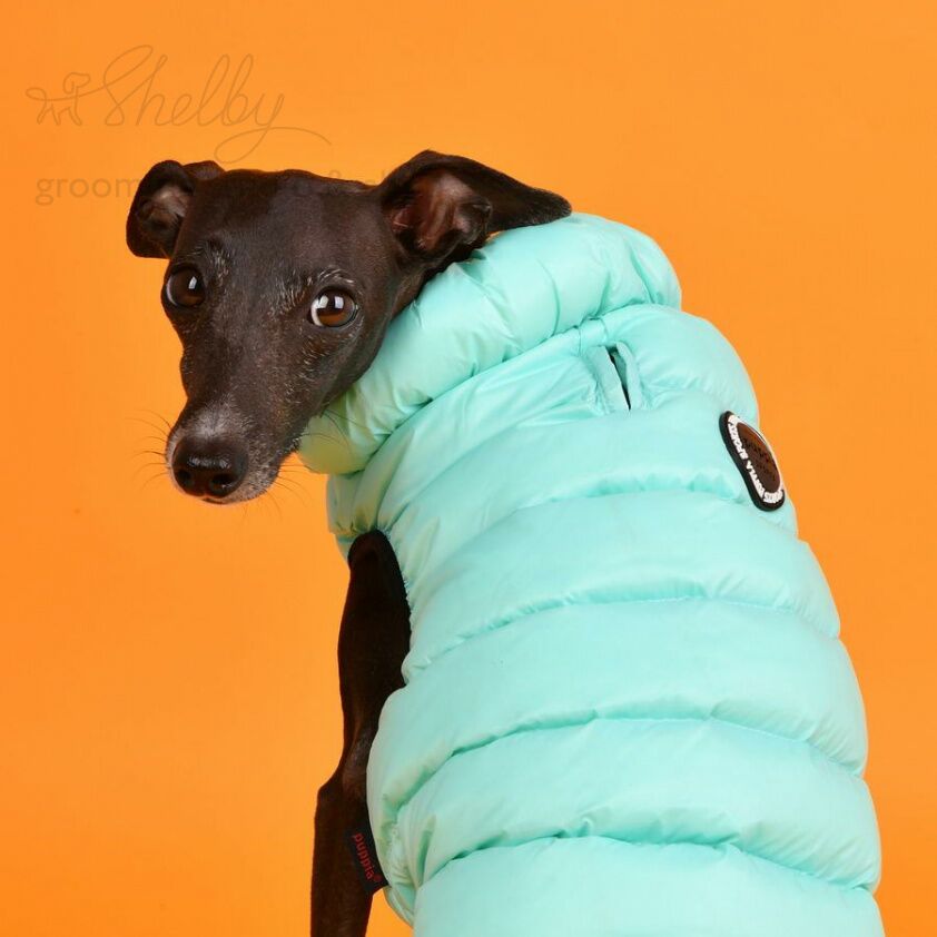 PUPPIA Жилет для собак утеплённый "Ultra Light Vest B", бирюзовый, XL 36 см 56 см 38 см