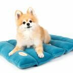 Матрас - лежак для собак "Soft Mat", синий, 55 см 48 см 5 см