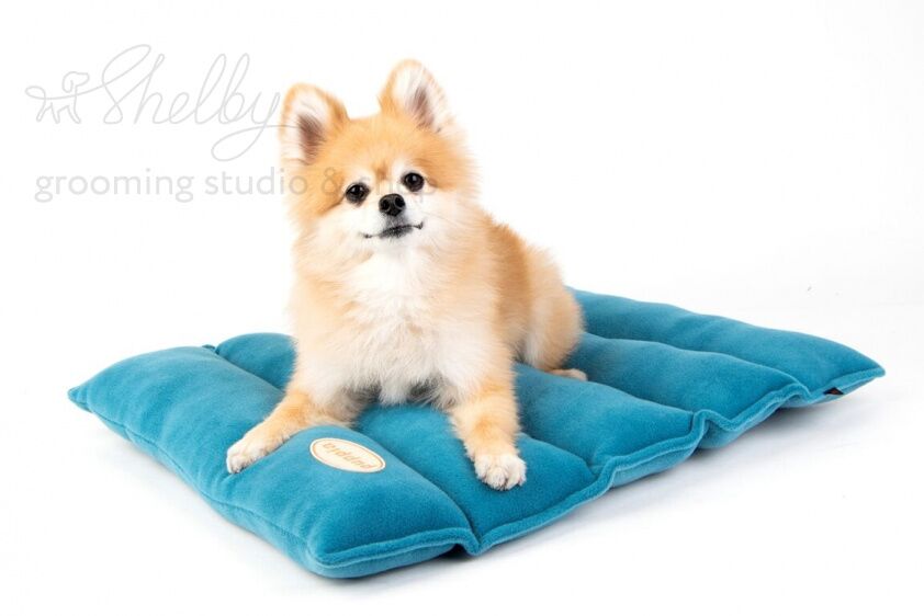 Матрас - лежак для собак "Soft Mat", синий, 55 см 48 см 5 см