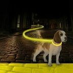 DUVO+ Ошейник для собак светящийся, нейлоновый, жёлтый, 40-55см/2.5см (Бельгия)