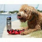 DOOG Комплект дорожный для собак (бутылка 600мл + миска), красная (Австралия)