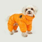 PUPPIA Комбинезон для собак, сверхлегкий "Jumpesuit А", оранжевый XL 36 см 58 см 28 см