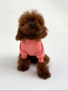 Sweet dog Свитшот