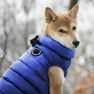 PUPPIA Жилет для собак утеплённый &quot;Ultra Light Vest A&quot;