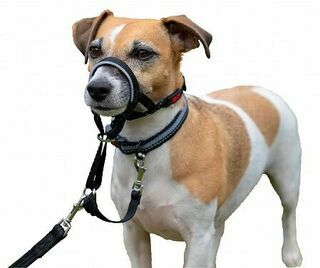 COA Недоуздок для собак &quot;HALTI Headcollar&quot;