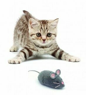 HEXBUG Игрушка для кошек интерактивная, микроробот &quot;Мышка Грей&quot;, серая, 6.5х4х2.8см (США)