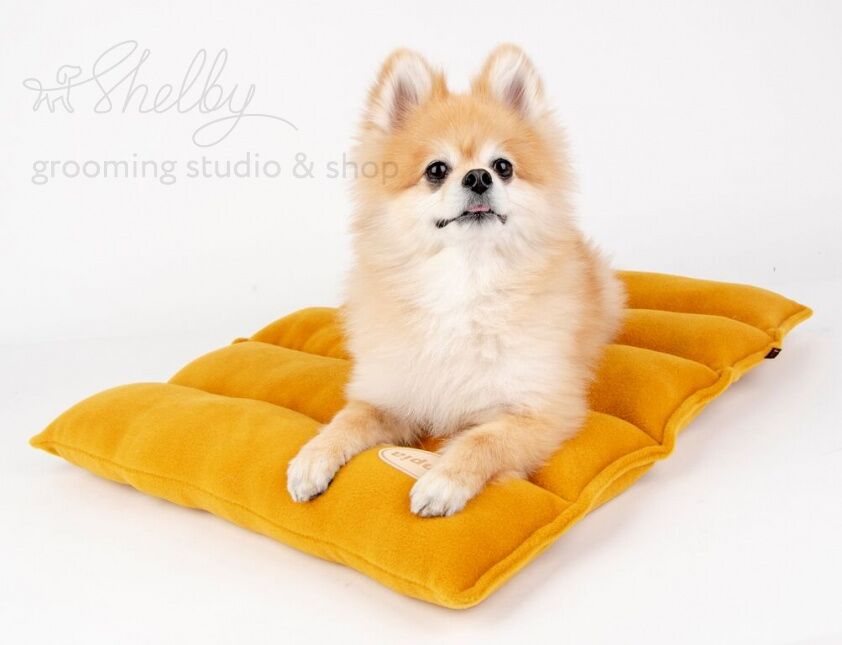 Матрас - лежак для собак "Soft Mat", желтый, 55 см 48 см 5 см
