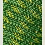 Поводок-перетяжка Зеленый полоз 250 см, 10 мм
