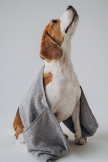Bushy Полотенце Alma для собак с карманами для рук