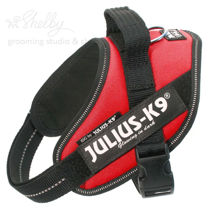 JULIUS-K9 шлейка для собак IDC®-Powerharness Mini (49-67см/ 7-15кг), красный