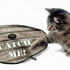 Игрушка для кошек интерактивная "Поймай меня", коричневая, 60см