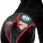 EBI Трусы для собак гигиенические черные с красным, 16-23см XS (Нидерланды)!