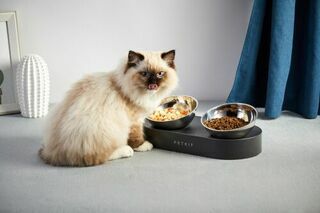 Миска двойная для кошек и собак из пищевой стали Fresh Nano Double