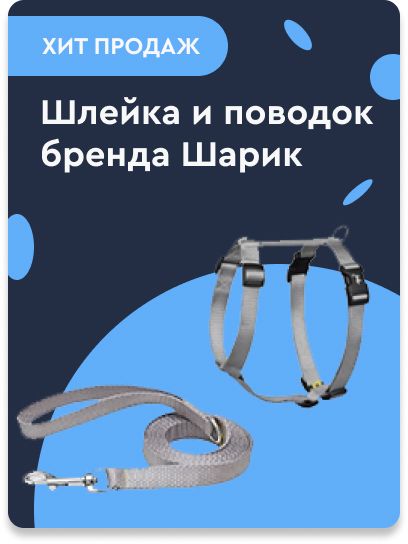 Шарик
