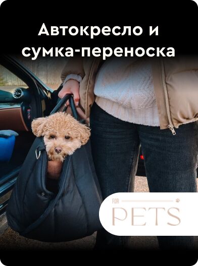 автокресло и переноска