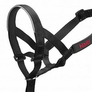 COA Недоуздок для собак &quot;HALTI Headcollar&quot;